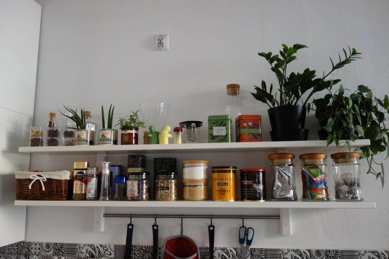 Apartament Przy Katedrze Stary Toruń Extérieur photo